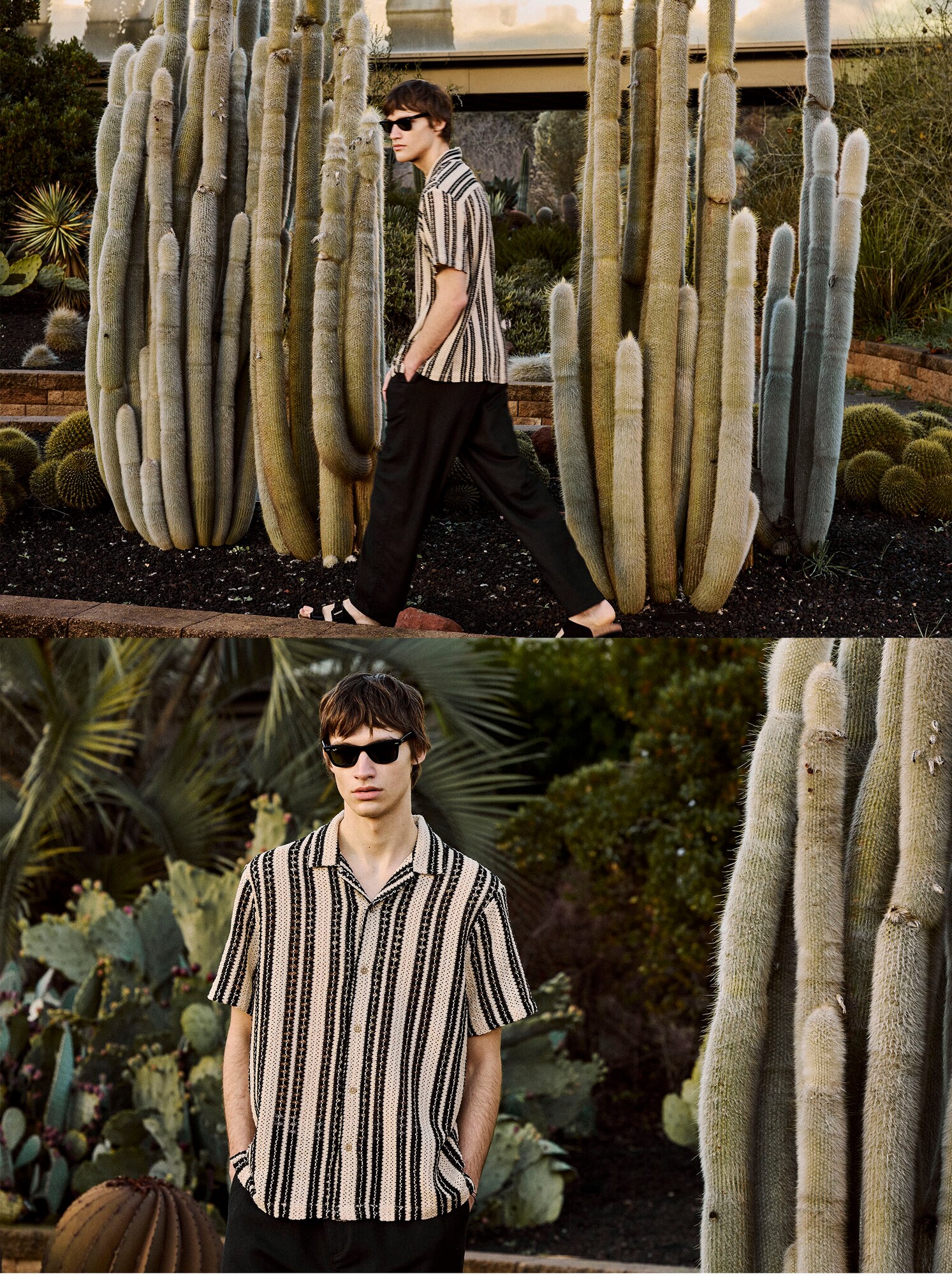 Green Coast Moda Homem
