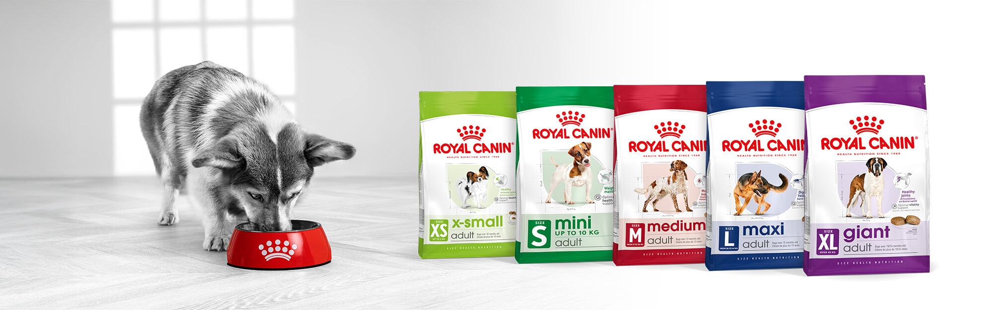 Nutrición Royal Canin específica según el Tamaño de tu Perro