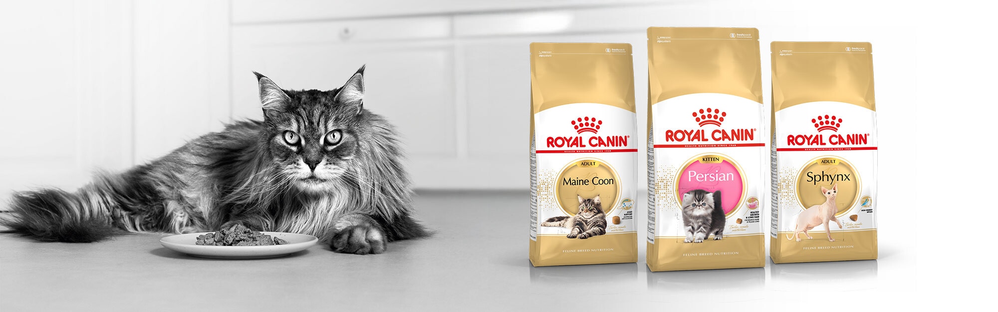 Nutrición Royal Canin específica según la raza de tu gato