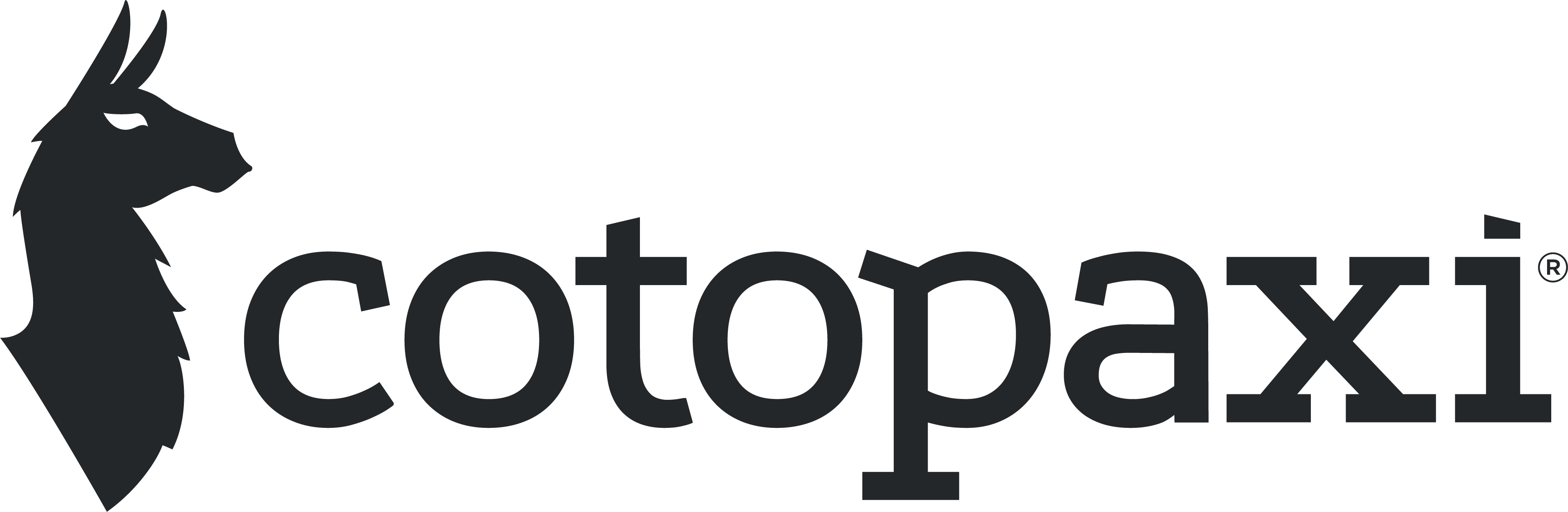 Cotopaxi 