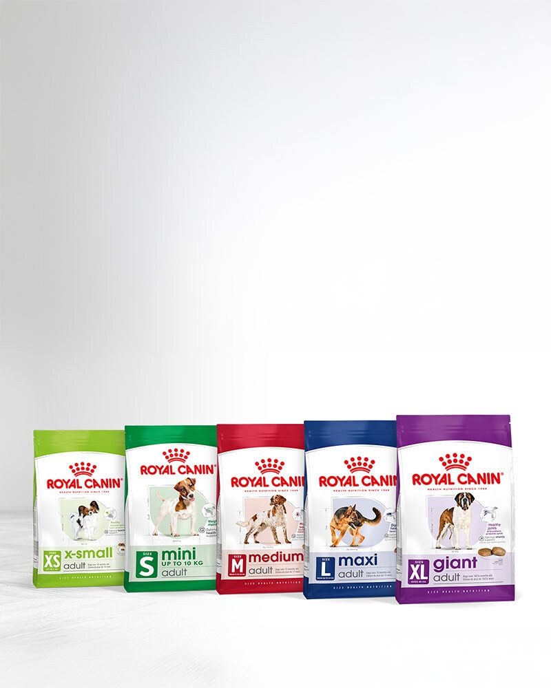 Nutrición Royal Canin específica según el Tamaño de tu Perro
