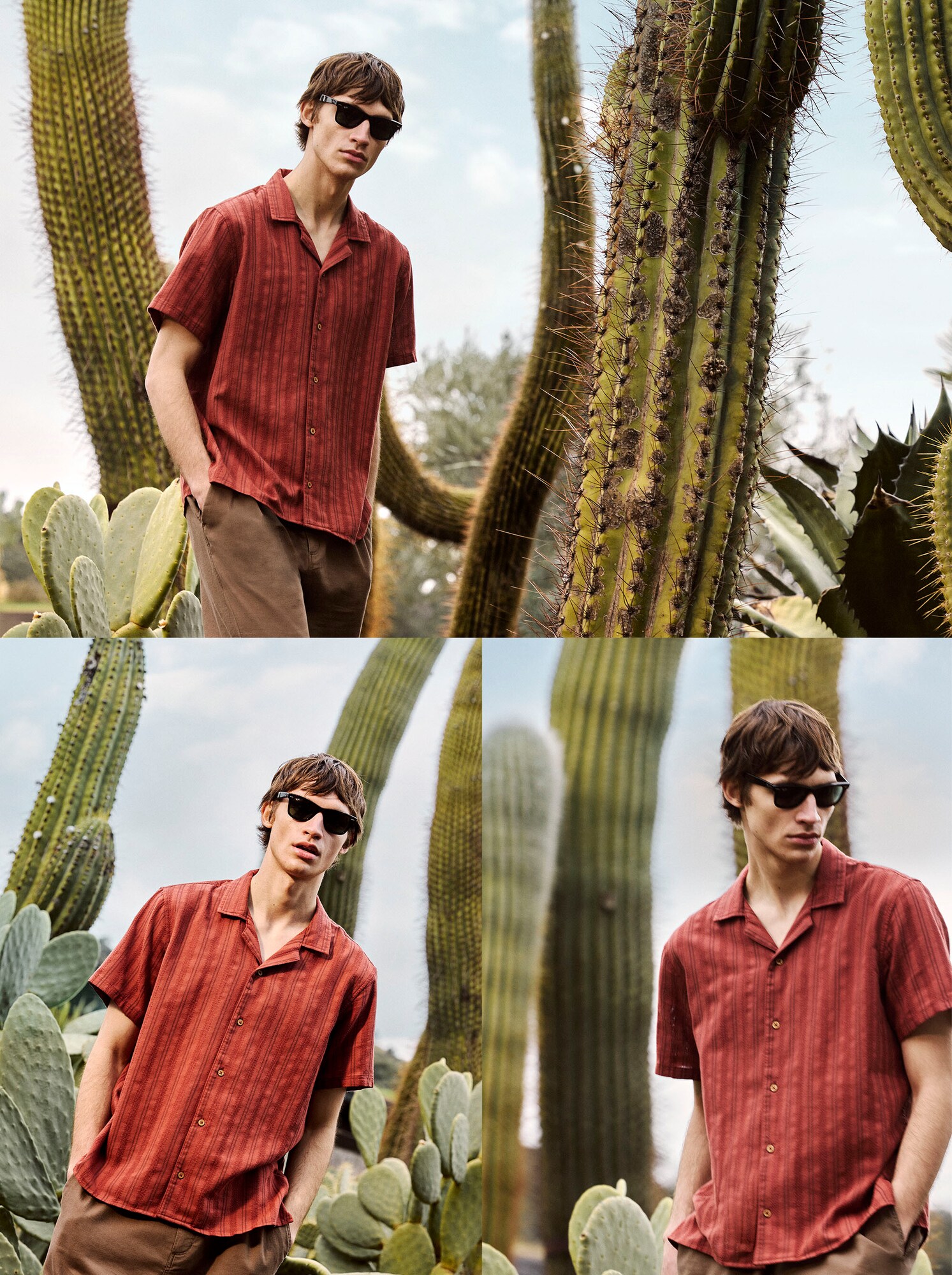 Green Coast Moda Homem
