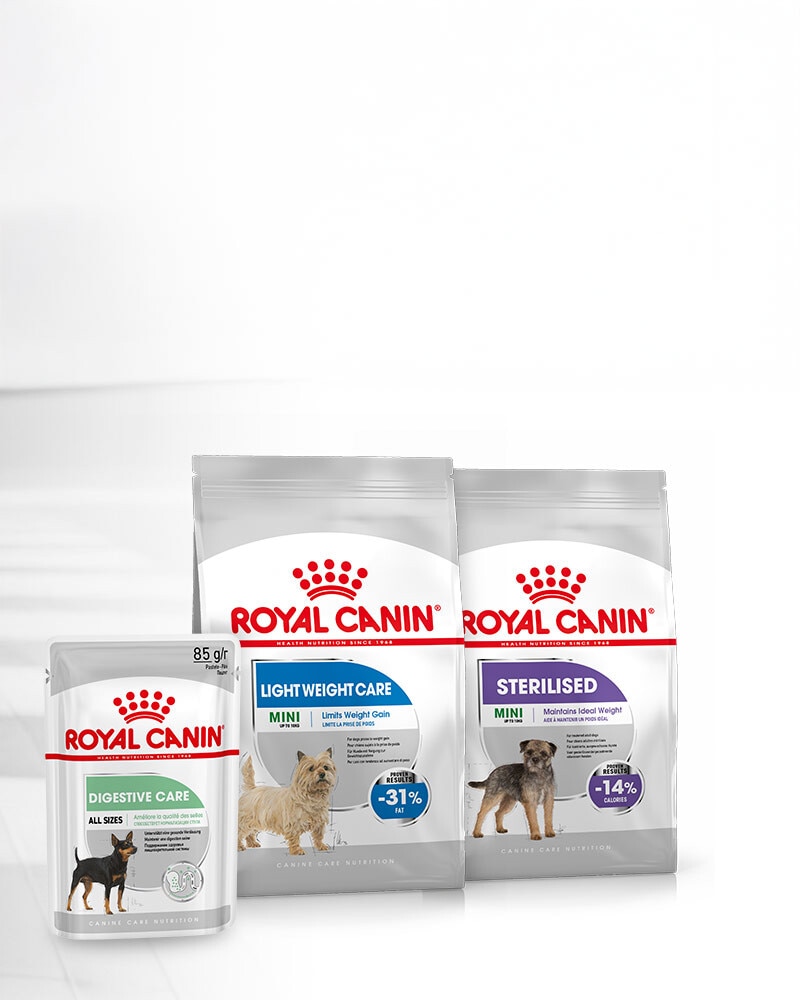Nutrición Royal Canin específica para las sensibilidades de tu Perro