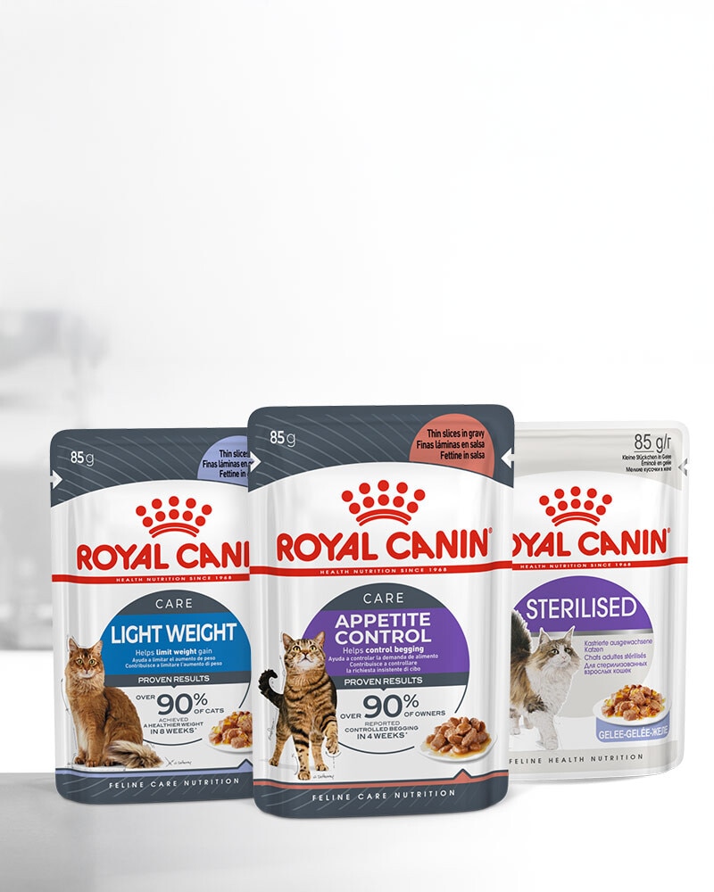 Nutrición Royal Canin específica según la raza de tu gato