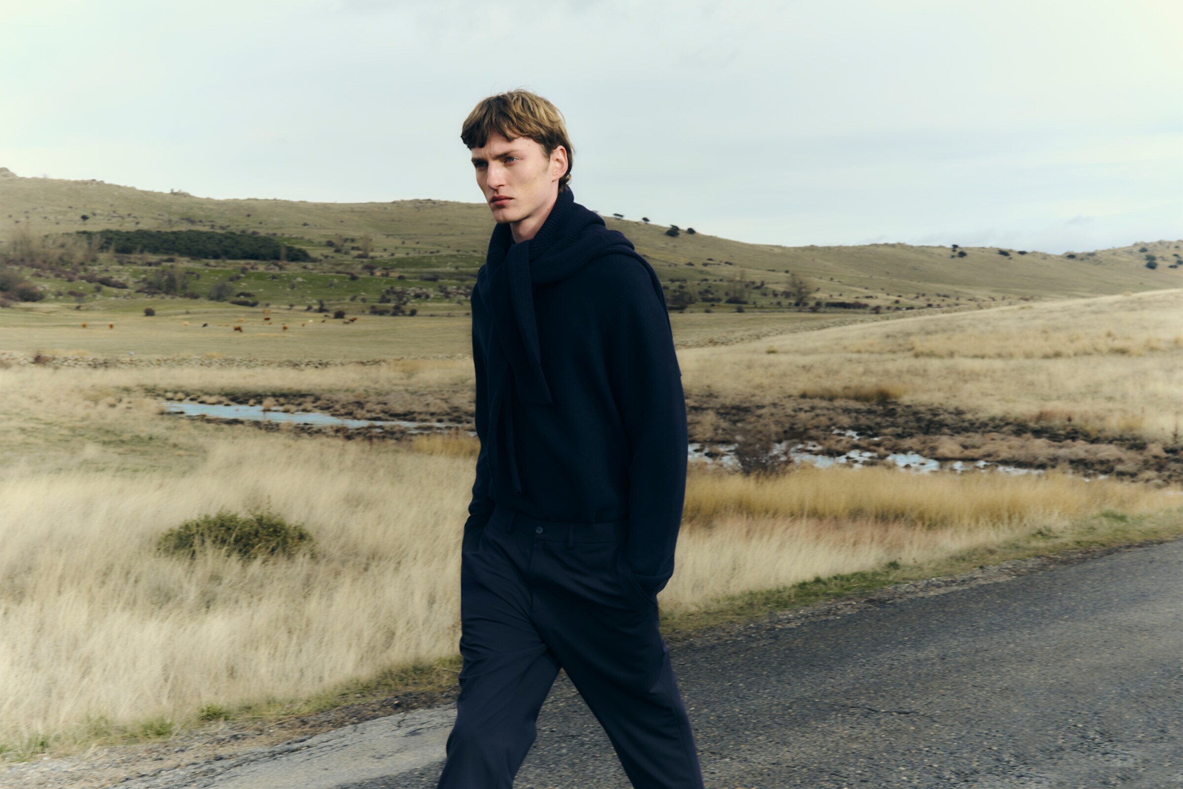 Nova Coleção
