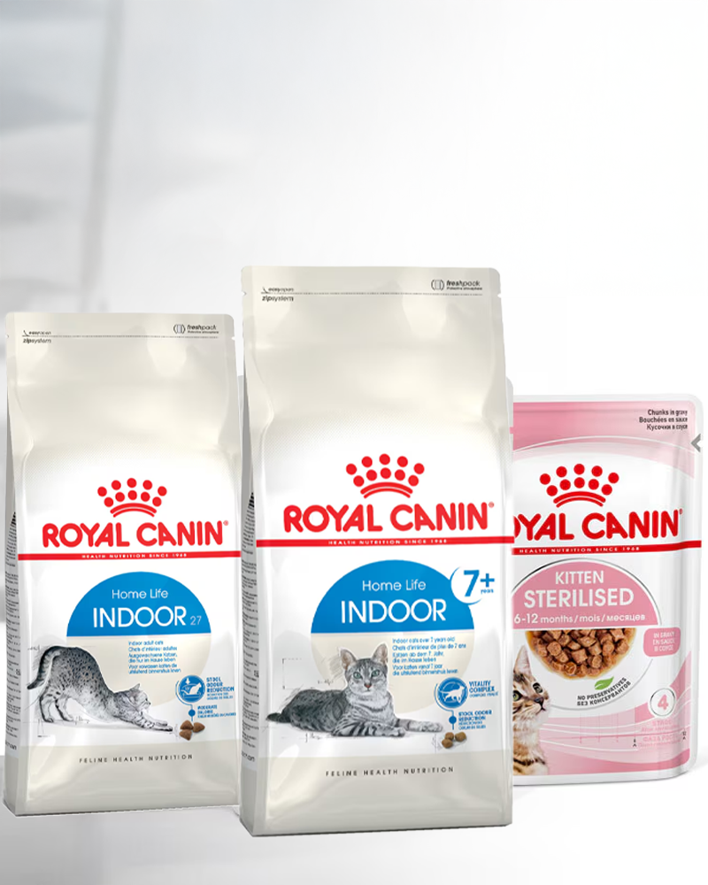 Nutrición Royal Canin específica según el estilo de vida de tu gato