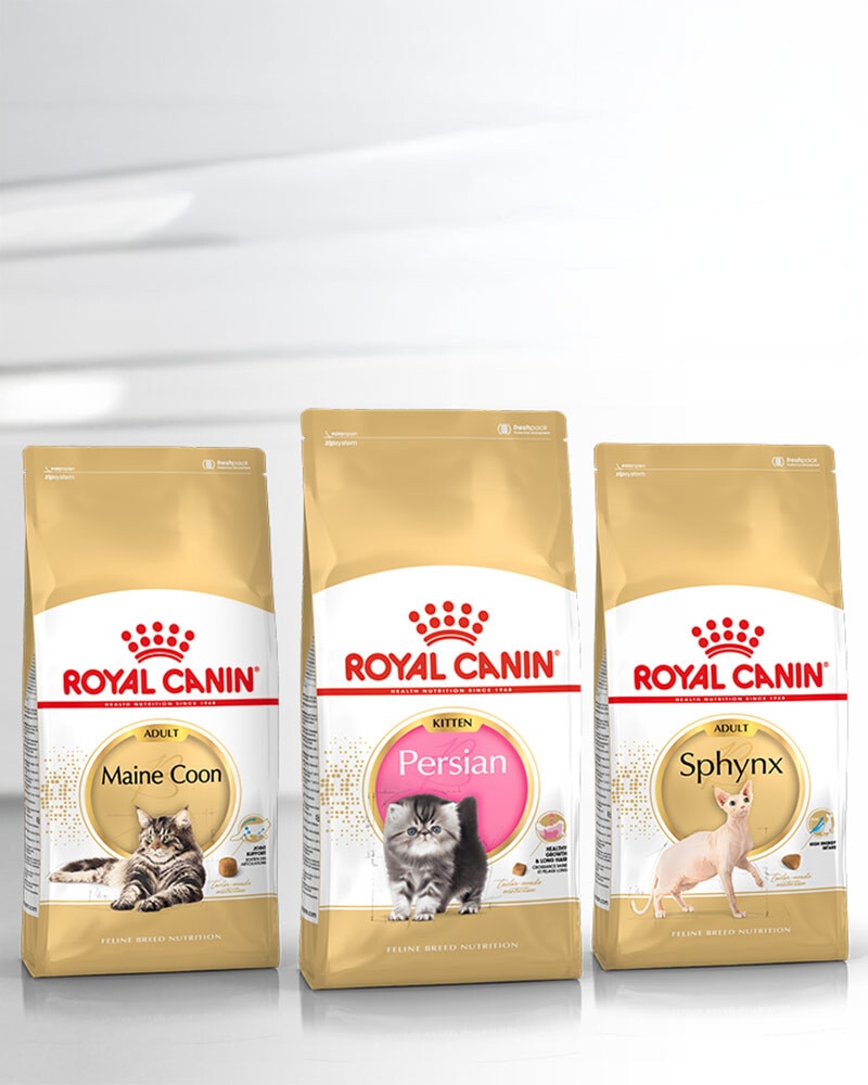 Nutrición Royal Canin específica según la raza de tu gato
