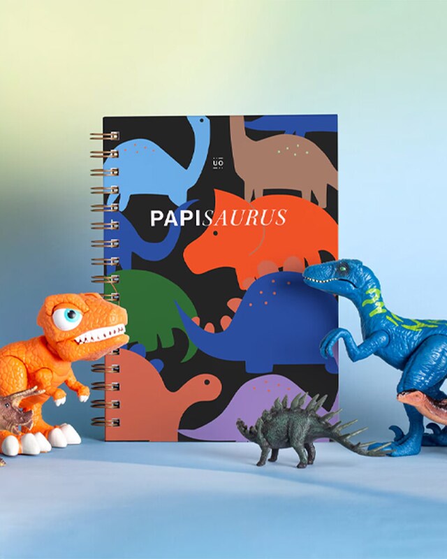 Escritorio y papelería