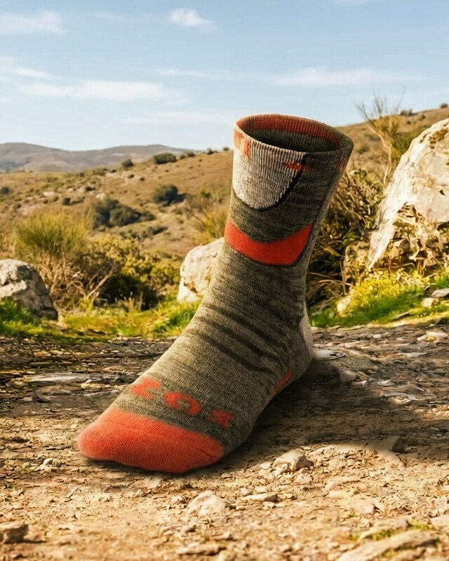 Camino de Santiago