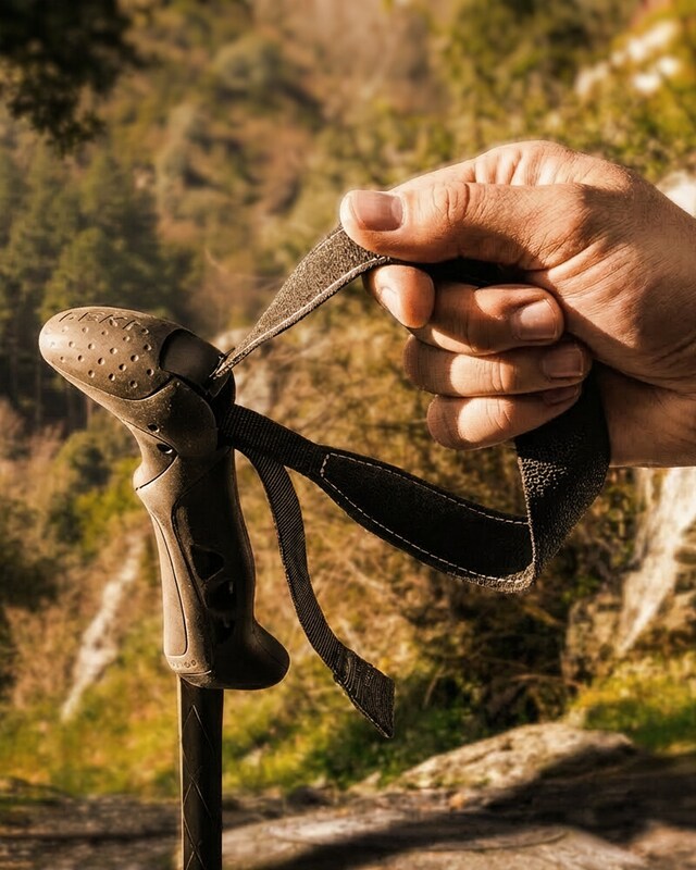 Camino de Santiago