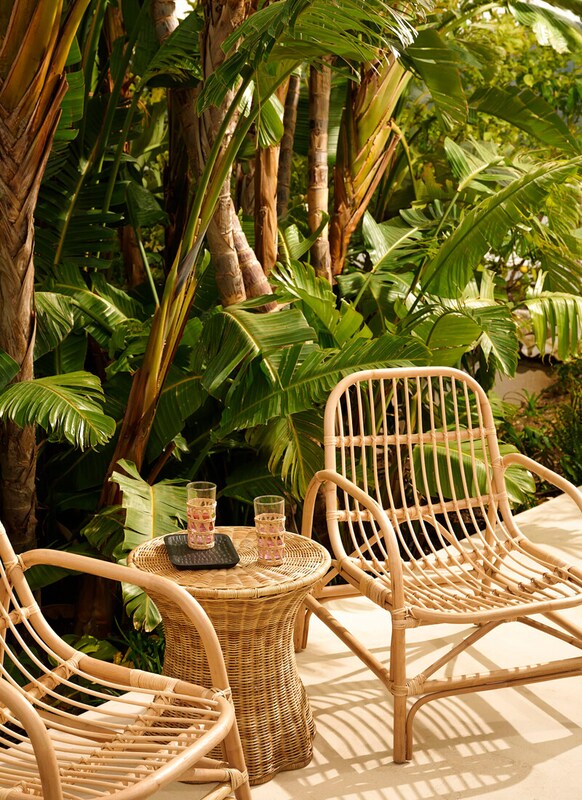 Decora Tropical