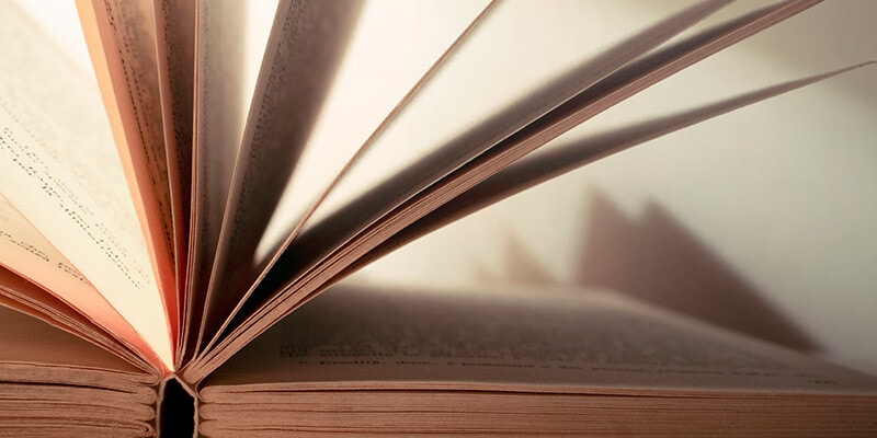 Ver Mais Autores
