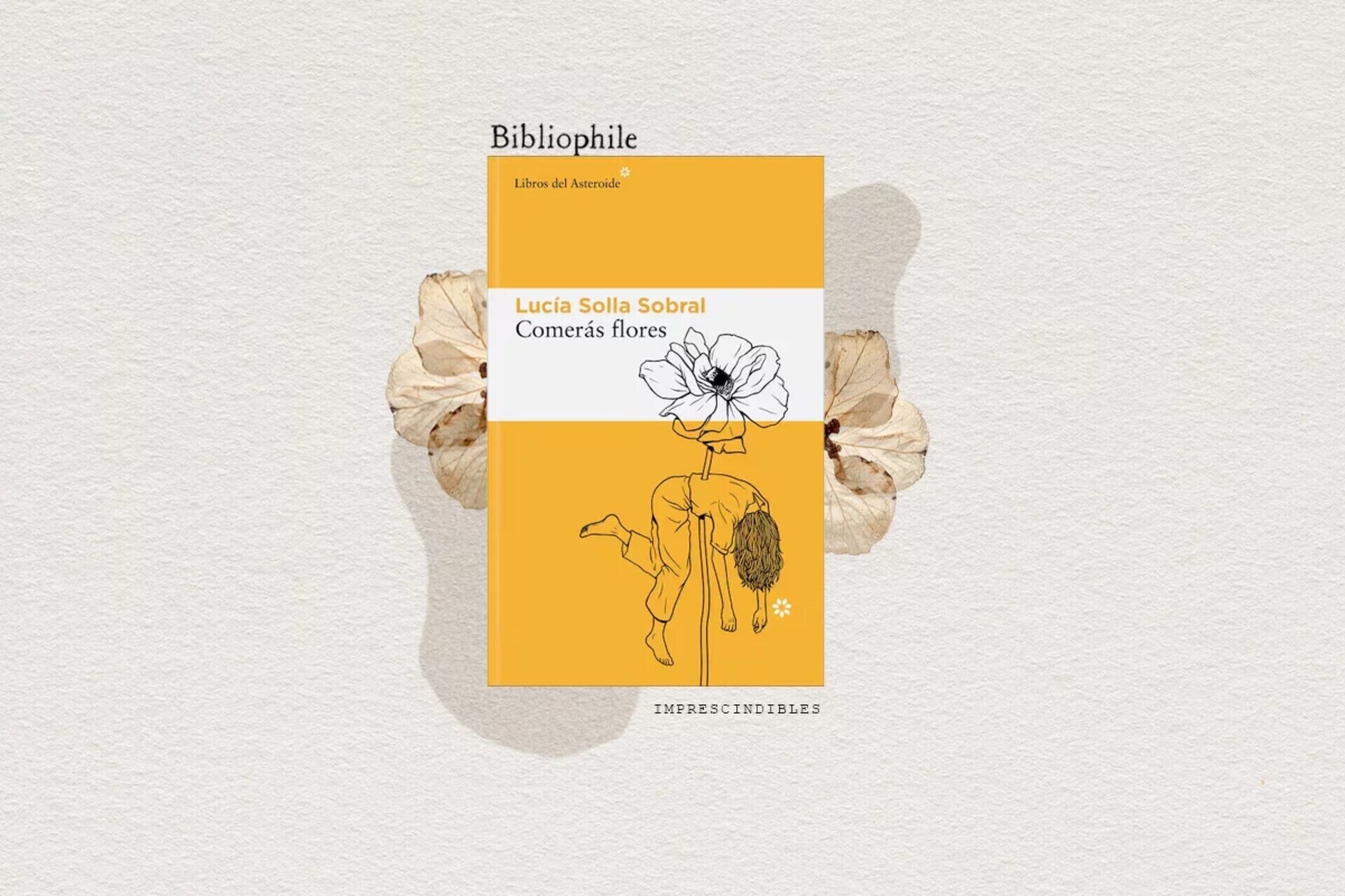 Livros e Autores Essenciais para 2026