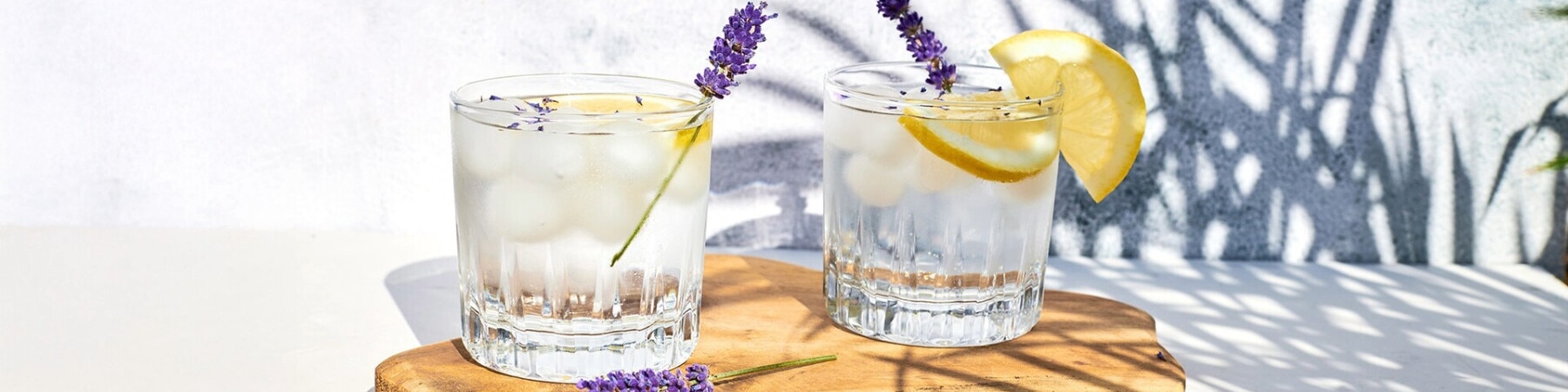 Bebidas Refrescantes
