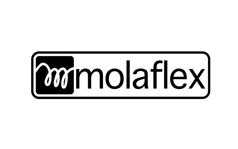 Semana da Internet - Molaflex