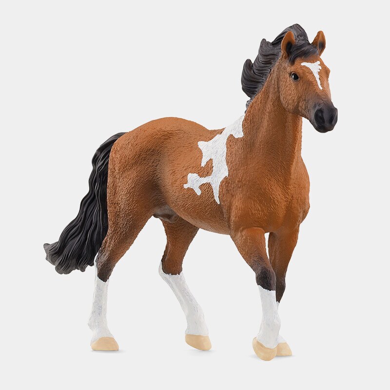 Caballos