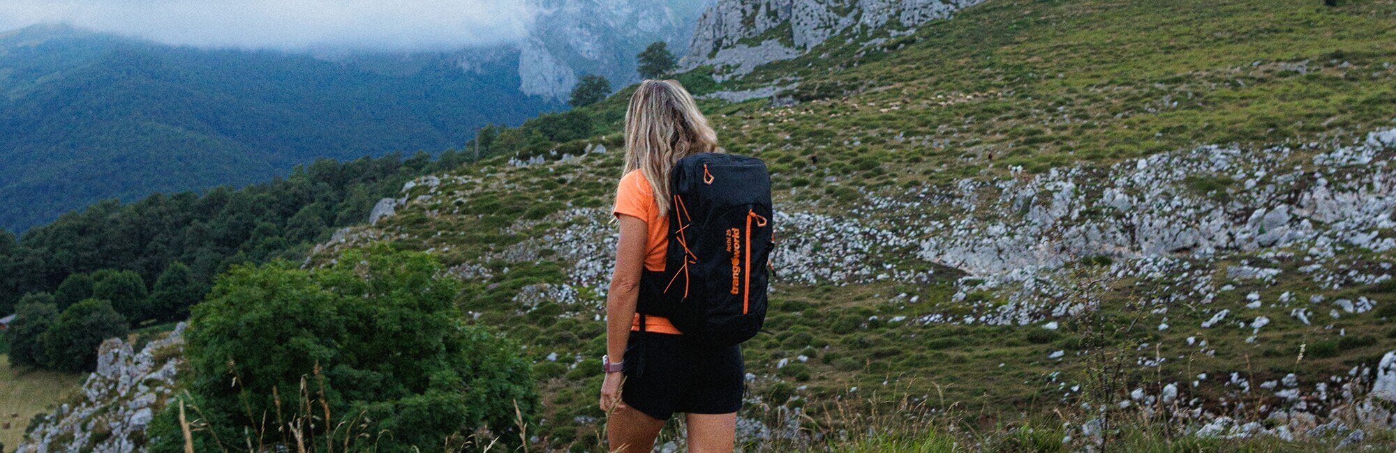 Sudaderas