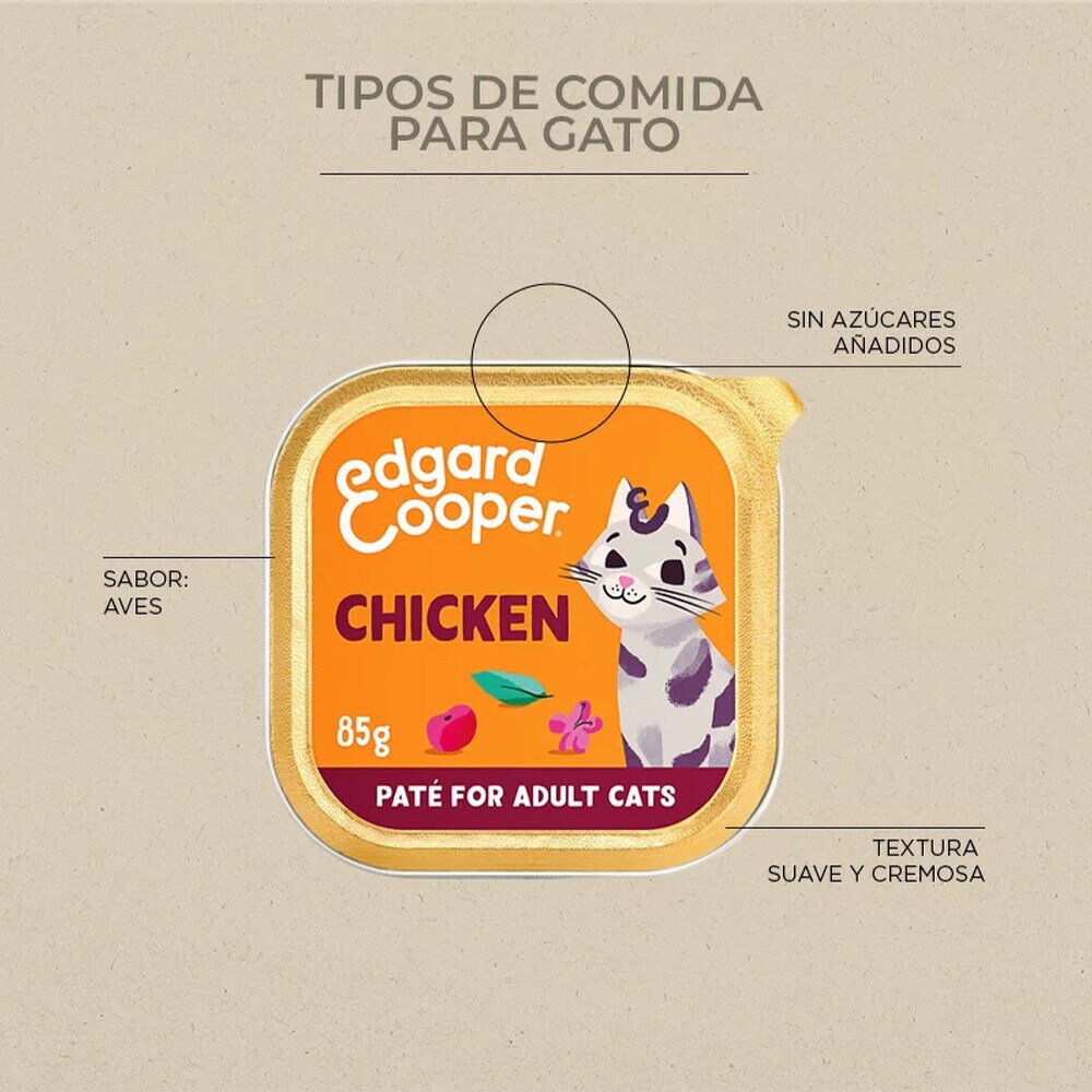 Tipos de comida para gatos