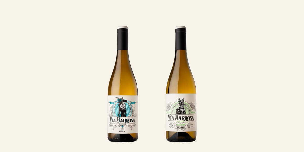 Vinos blancos Godello y Ribeiro Via Barrosa
