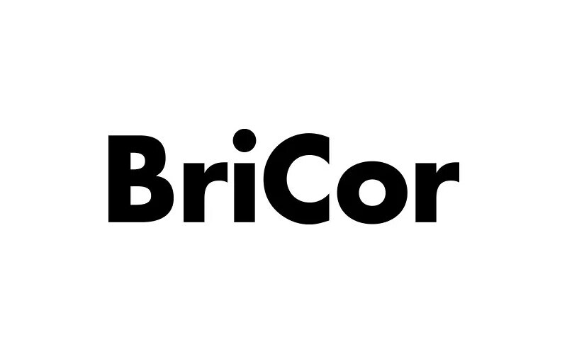 Ver todos os artigos da marca Bricor