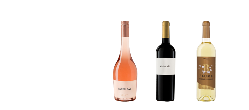 MULTIMARCA Vinos tintos y blancos Castilla León