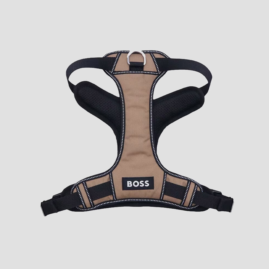 Mascotas · Hugo Boss
