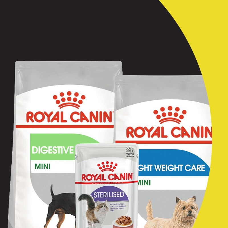 20% em Royal Canin