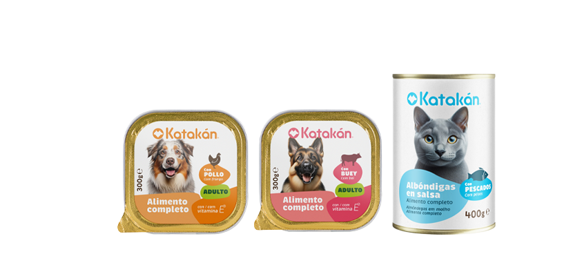 Katakan Comida húmeda gato distintas recetas y formatos