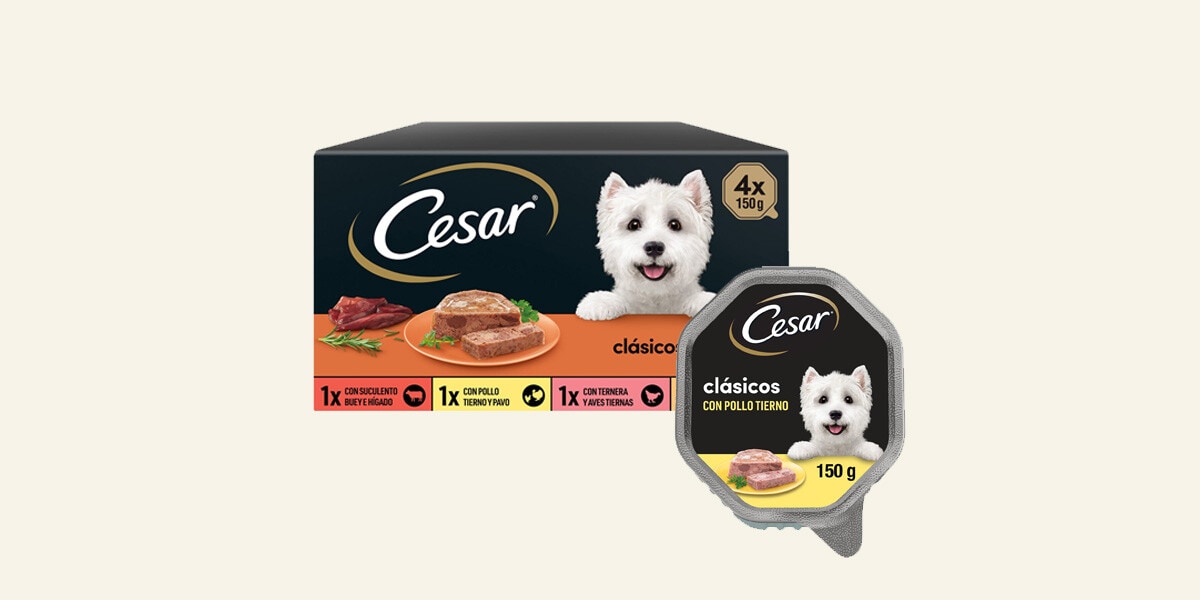 Cesar