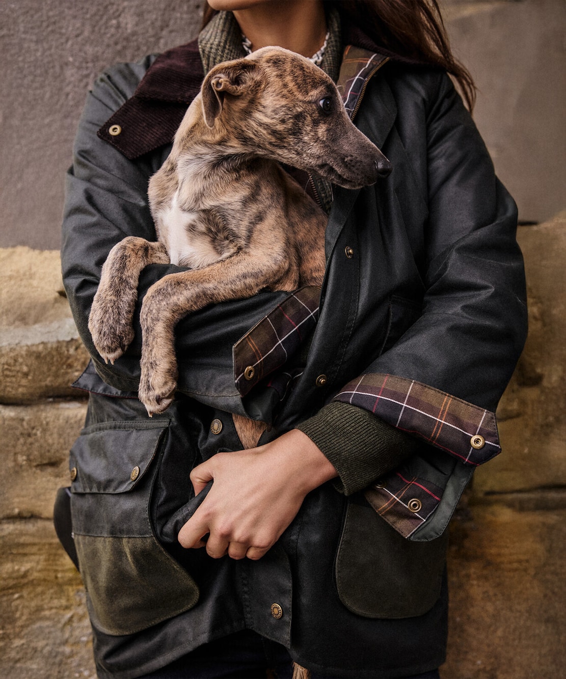 Barbour