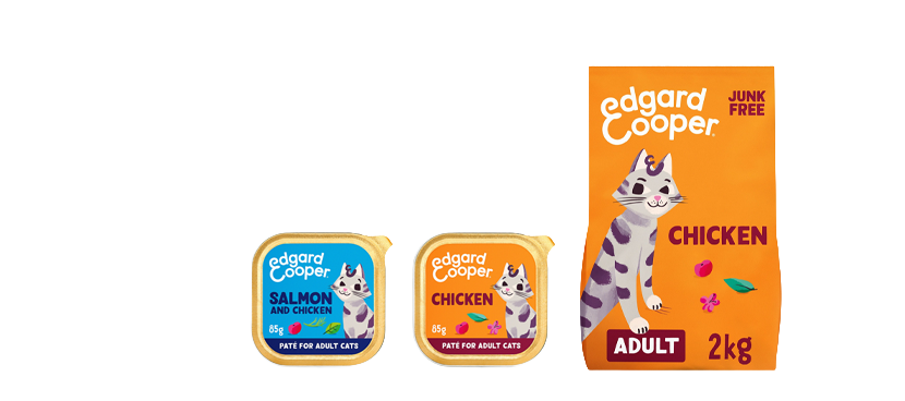Edgar & Cooper Comida y snacks perro o gato distintas recetas y formatos