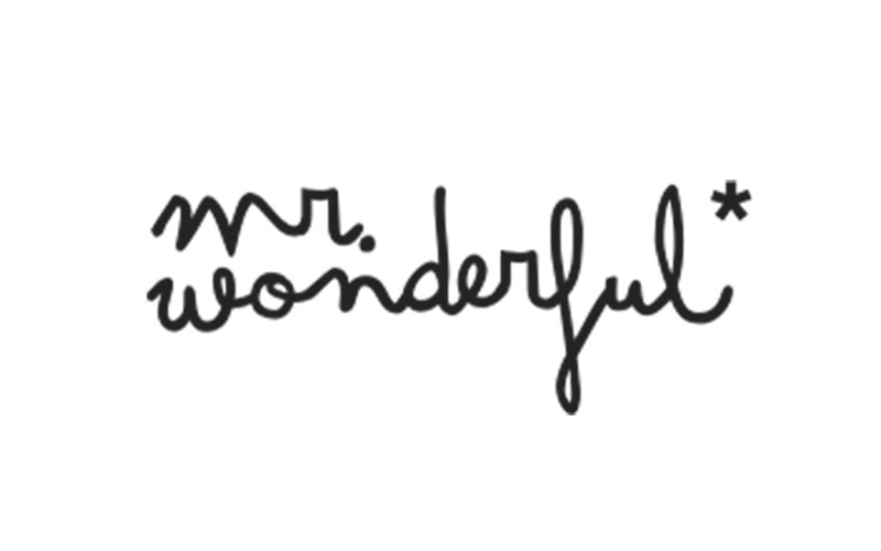 Mr. Wonderful