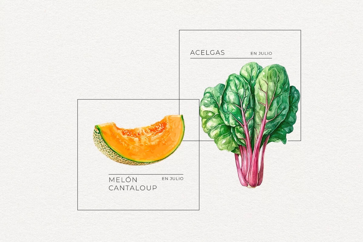 Frutas, verduras y hortalizas de julio
