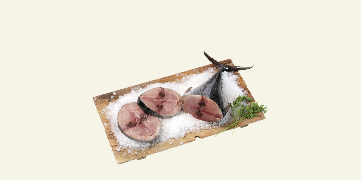 Bonito