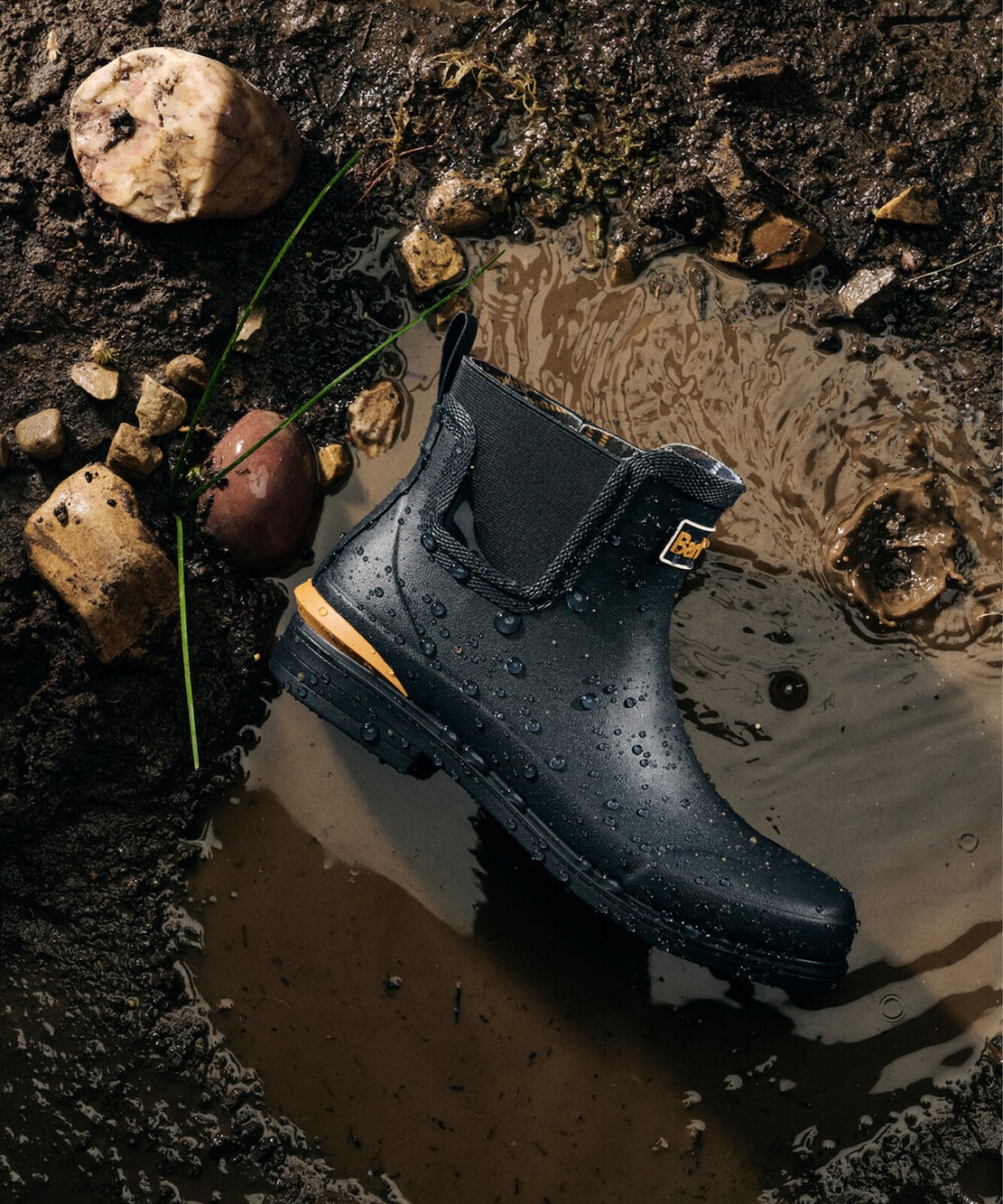 Barbour