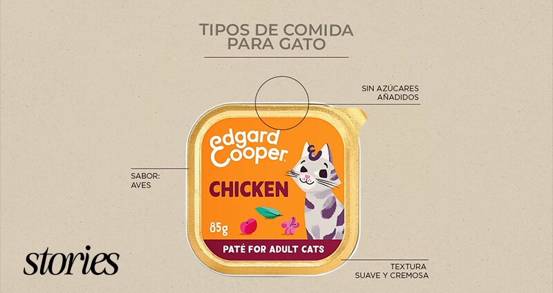 Guía de compra. Tipos de comida para gatos.