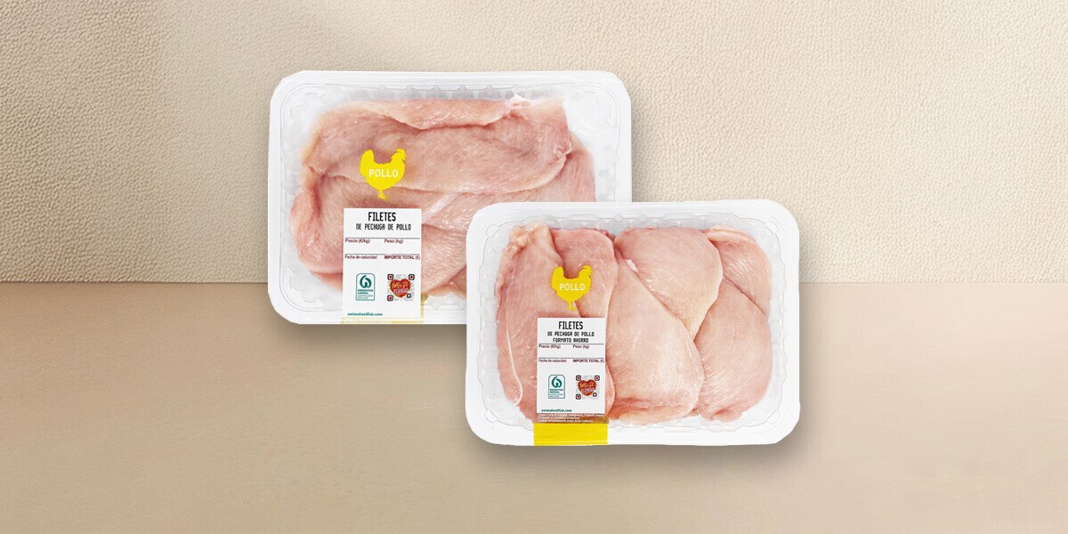 Pollo