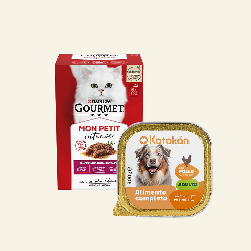 Mascotas