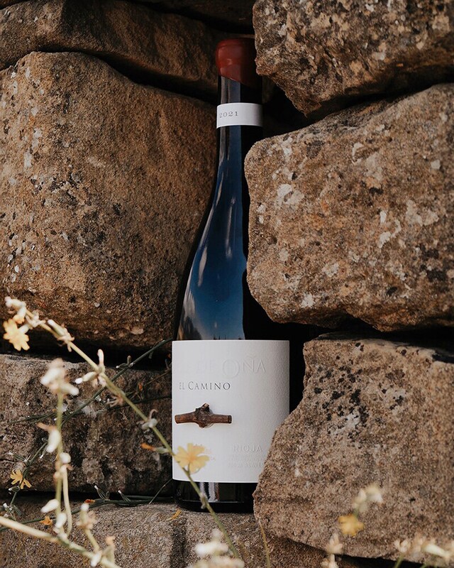 Vinos tintos