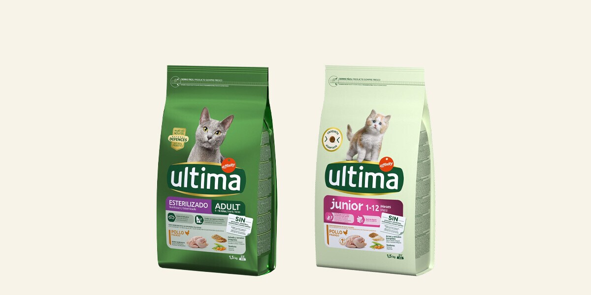 Comida seca y húmeda gato y perro distintas recetas y formatos Ultima