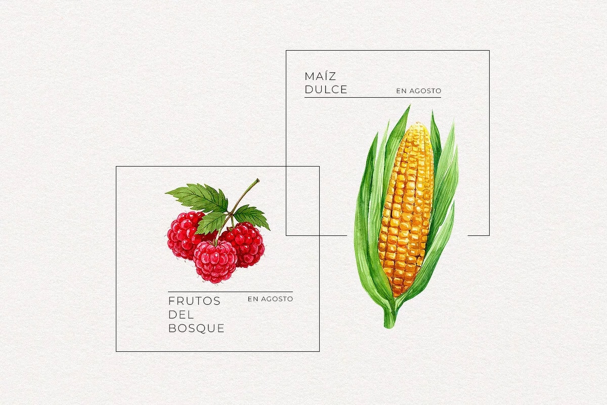 Frutas, verduras y hortalizas de agosto