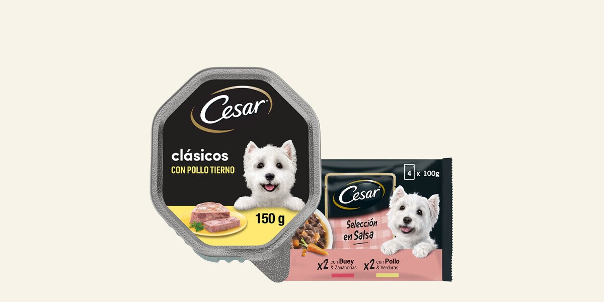 Comida húmeda perro distintas recetas y formatos Cesar
