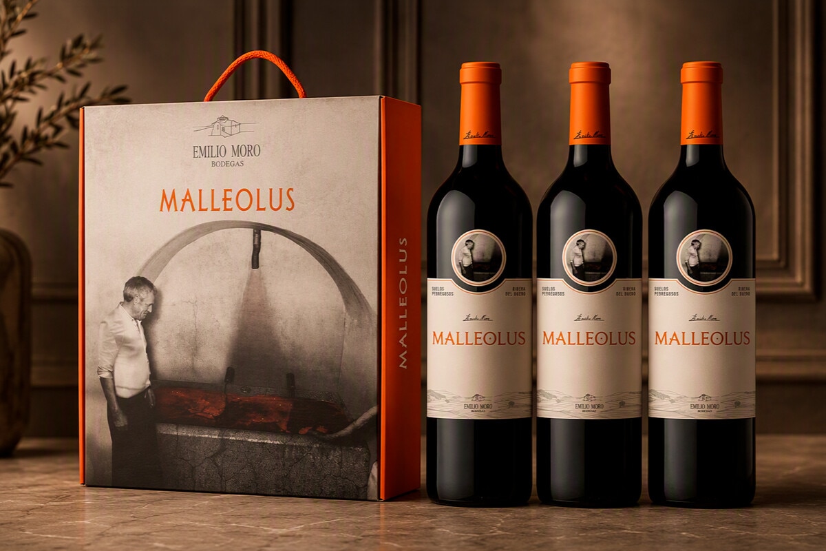 Estuches de vino y champagne