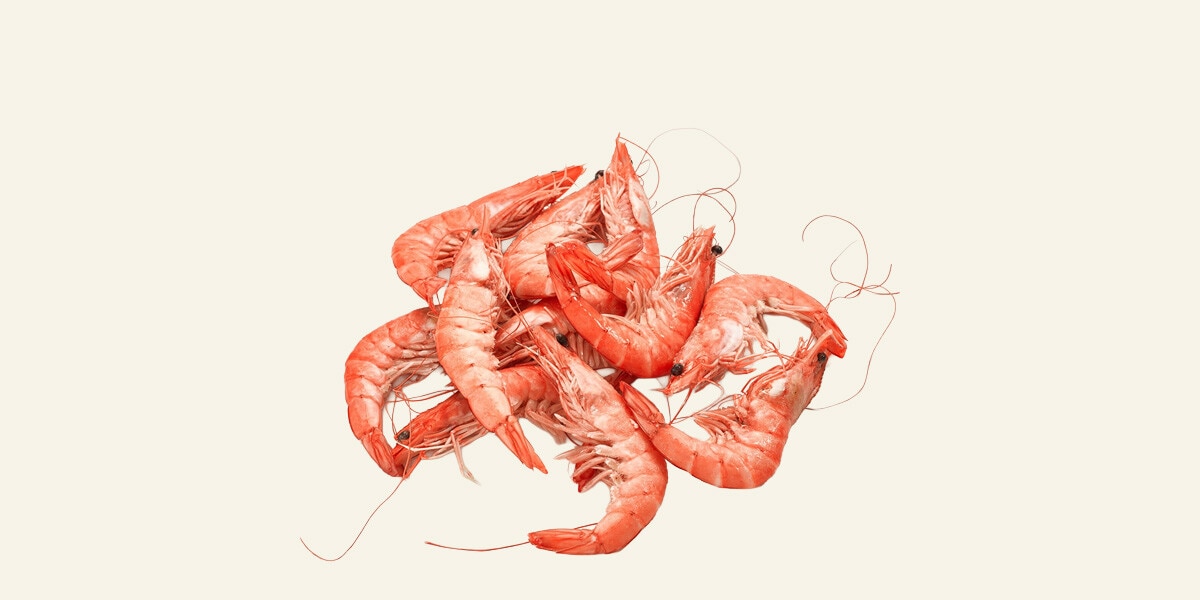 Langostino cocido ASC 30-40 pzas/kg Fresco