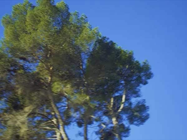 Casa Costa