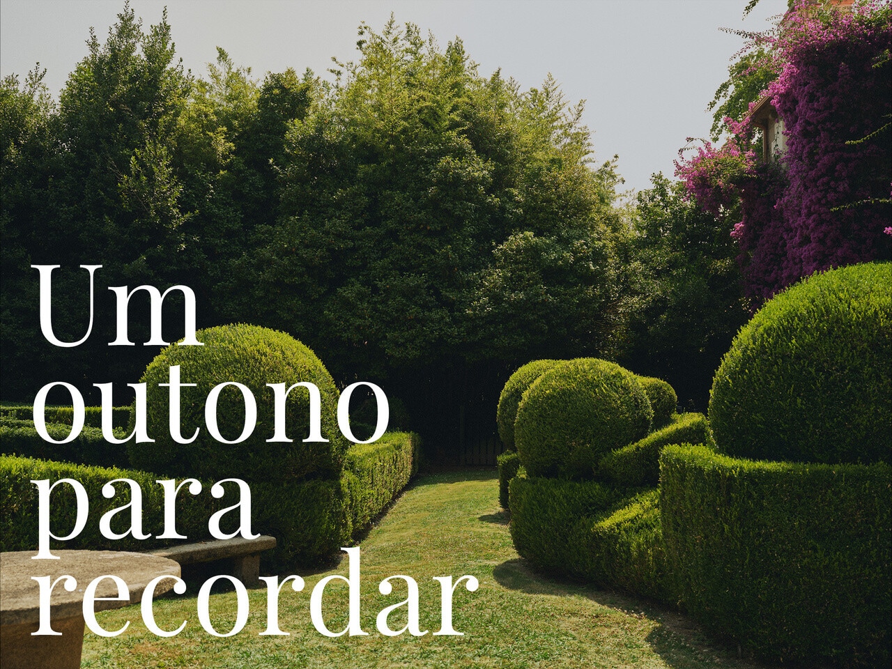 Campanha Coconut OI26