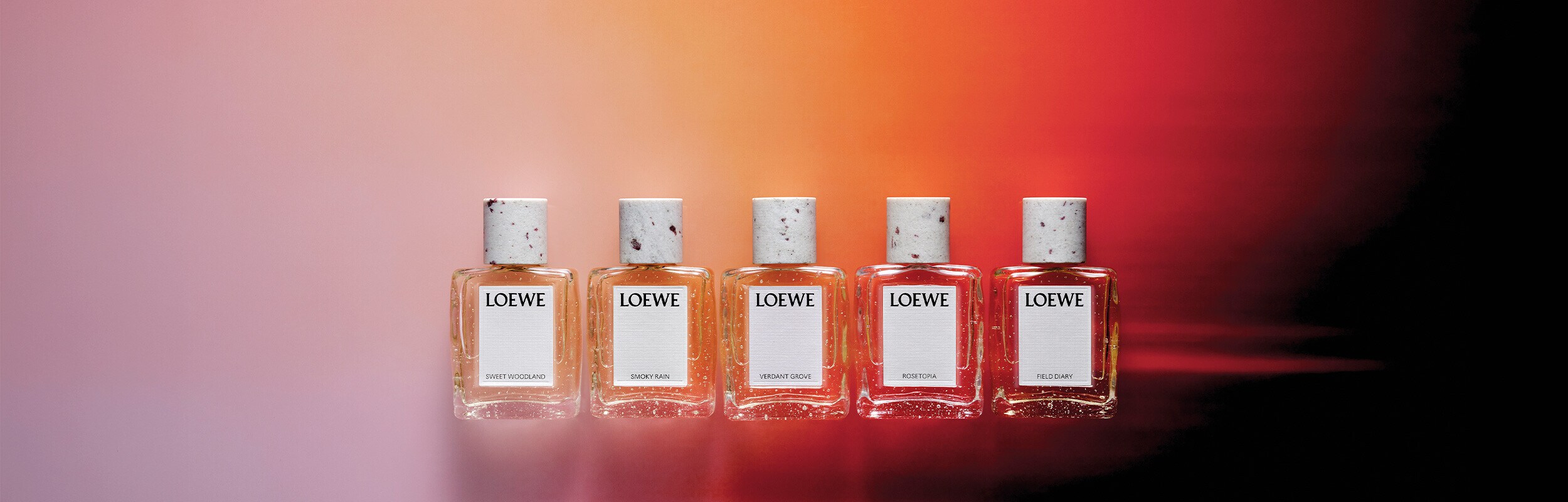 Banner Principal Desktop