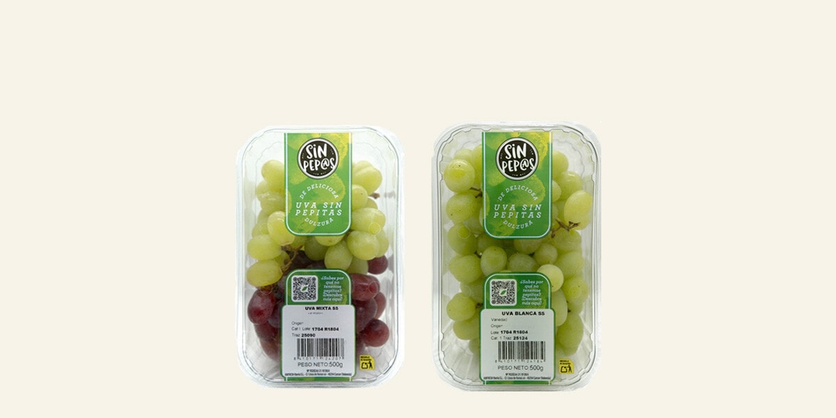 Uvas sin semilla tarrina 500 g Sin Pep@s