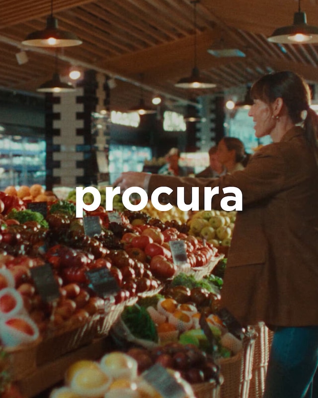 Procura