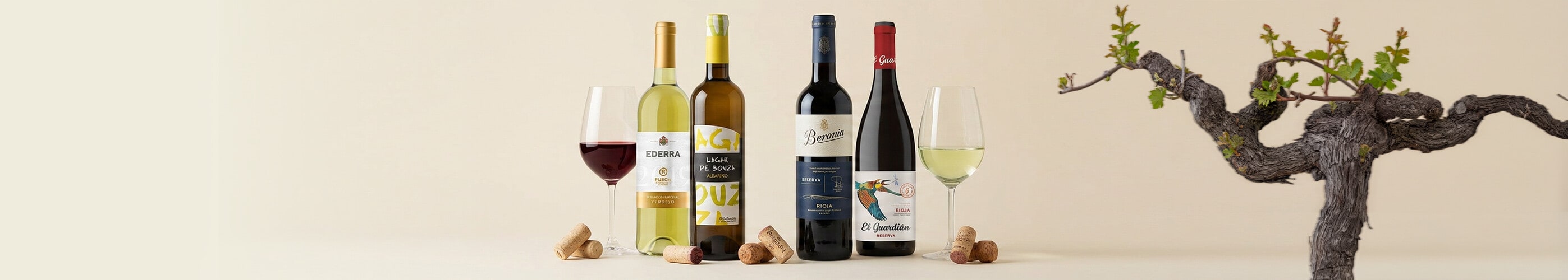 Vinos